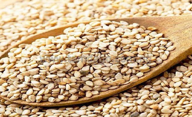 Sesame Seeds